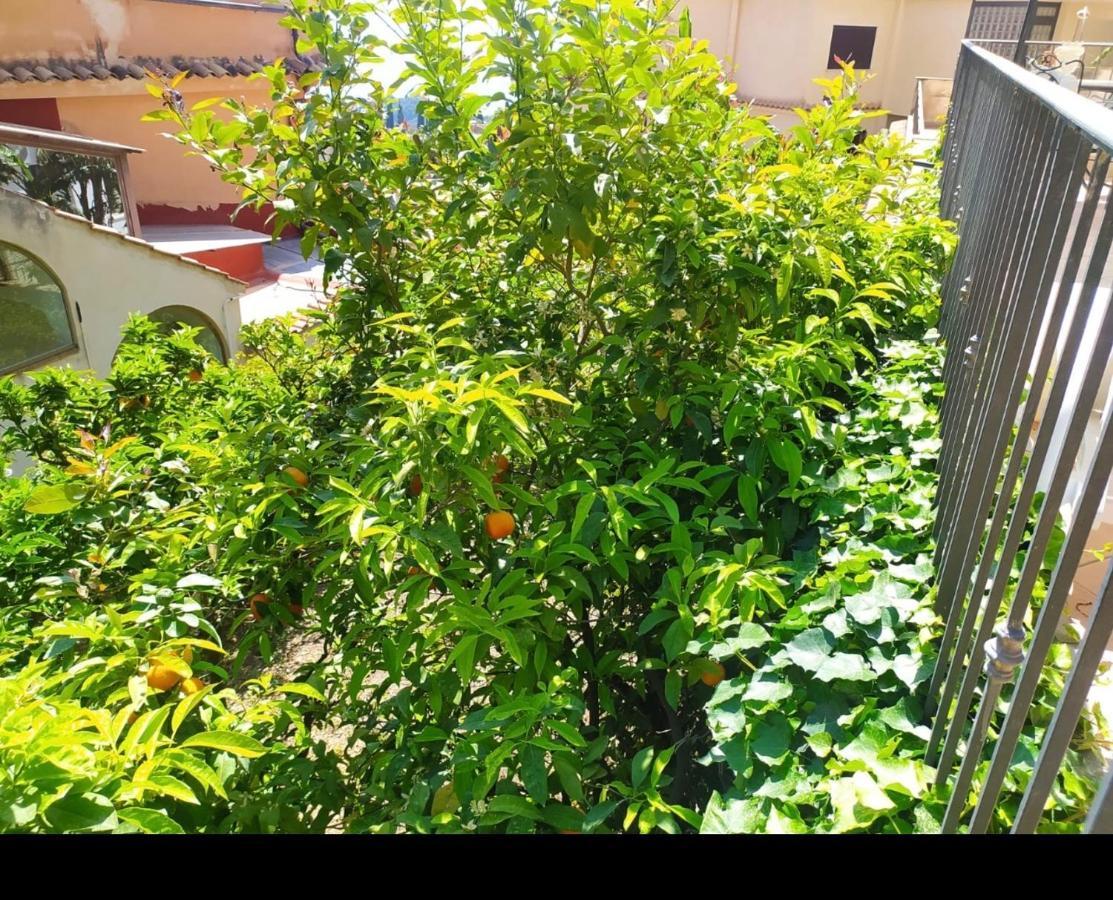 Apartment Marifra Garden Taormina Exteriör bild